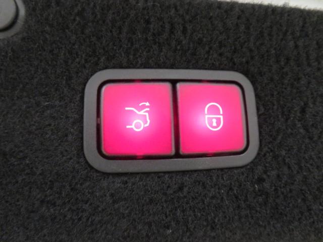 S300 h AMGライン ラグジュアリーパッケージ