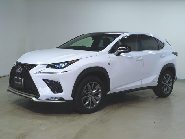 NX300h Fスポーツ