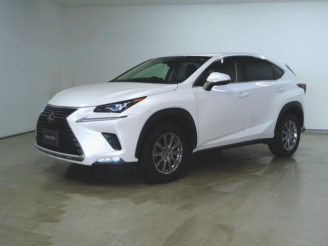 NX300 Iパッケージ