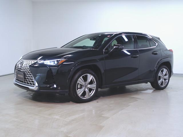 UX250h グレイスフル エクスプローラー