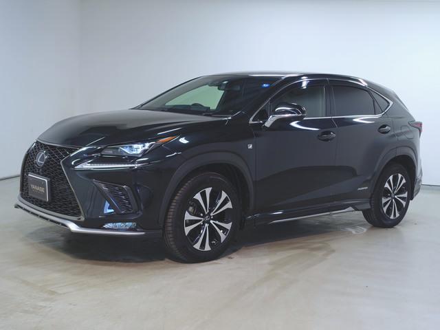 NX300h Fスポーツ