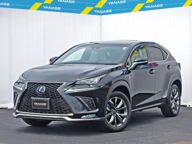 NX300h Fスポーツ
