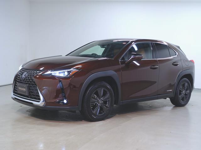 UX250h ブラウンエディション