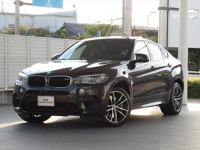 X6 M