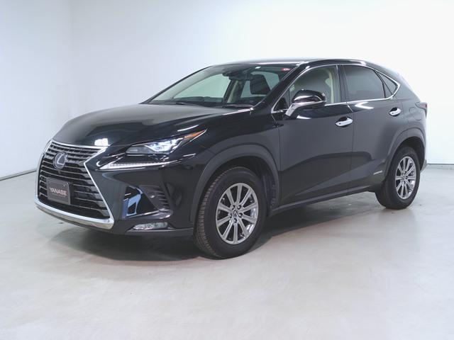 NX300h Iパッケージ