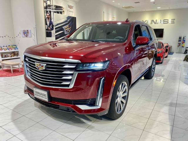 エスカレード プラチナム 正規ディーラー車 希少カラー