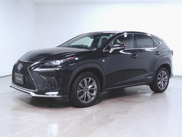 NX300h Fスポーツ