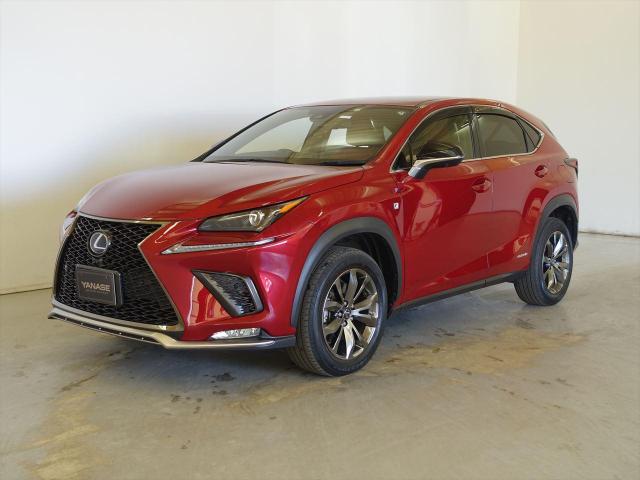 NX300h Fスポーツ