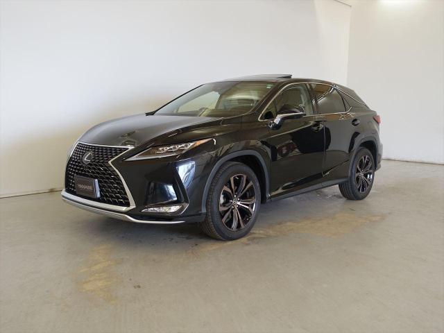 RX300 バージョンL