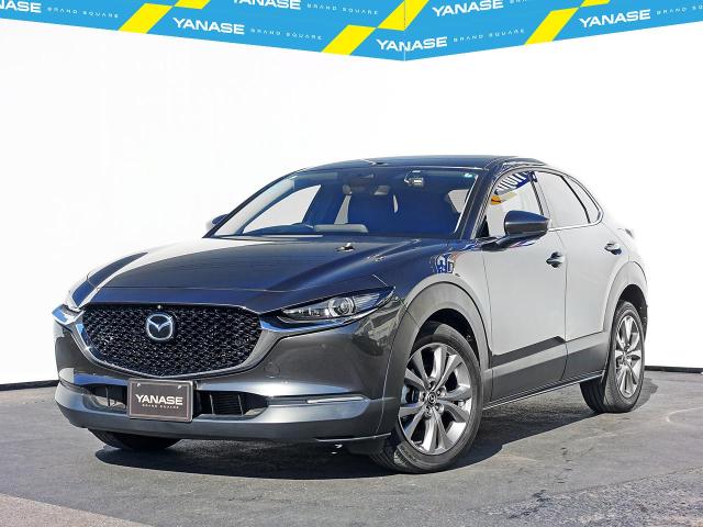 CX-30 20Sプロアクティブ ツーリングセレクション