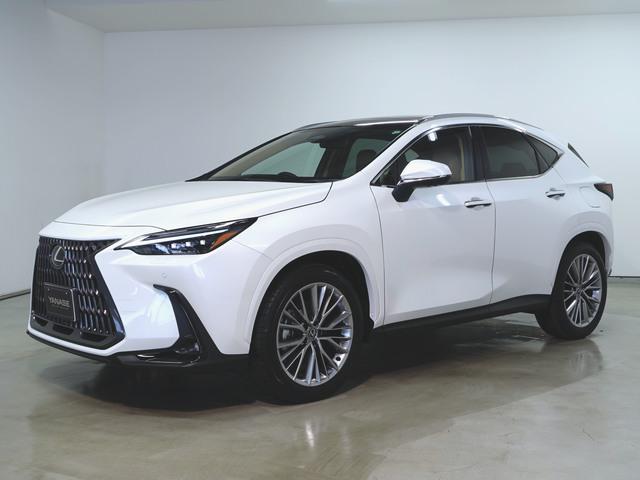 NX250 バージョンL
