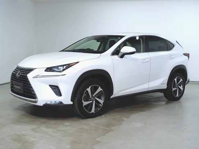 NX300h バージョンL