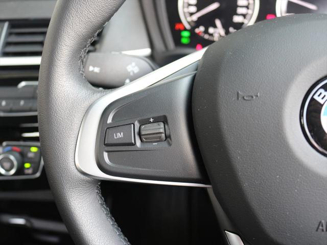 X1 xDrive18d xライン