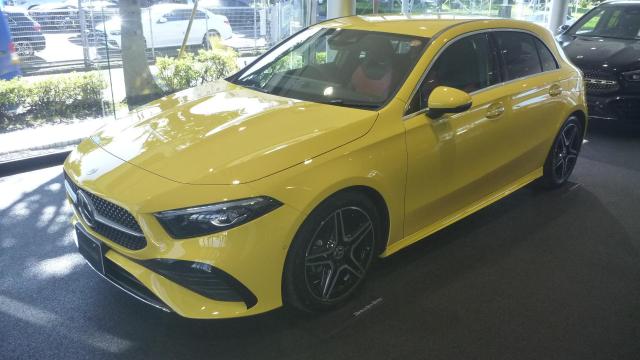 A200 d AMGラインパッケージ・AMGレザーエクスクルーシブパッケージ