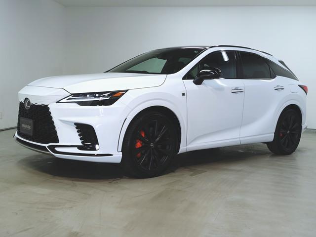 RX500h Fスポーツパフォーマンス
