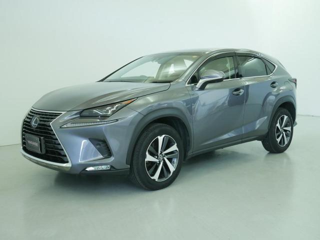 NX300 バージョンL