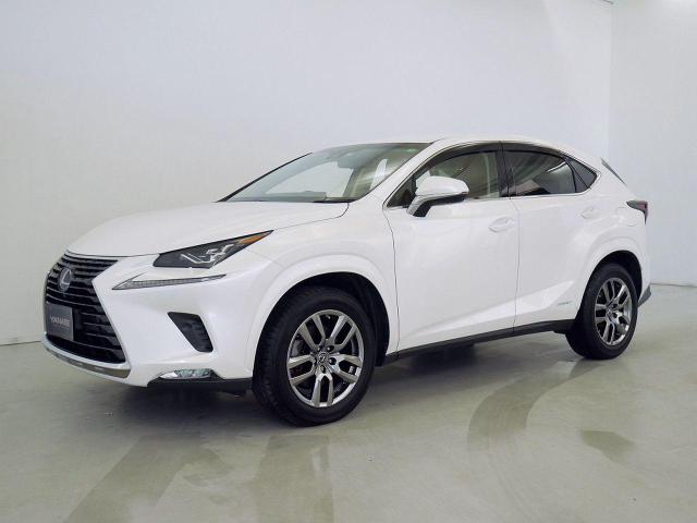 NX300h バージョンL