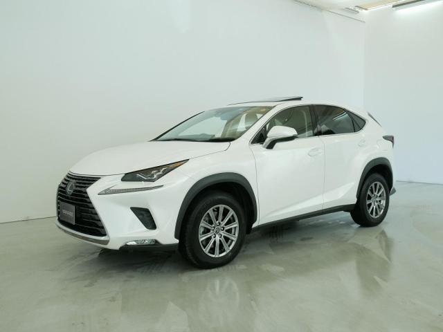 NX300 Iパッケージ