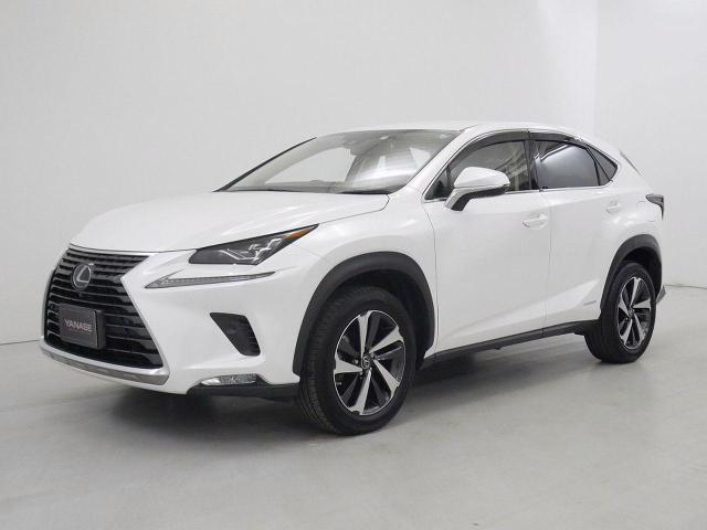 NX300h Iパッケージ