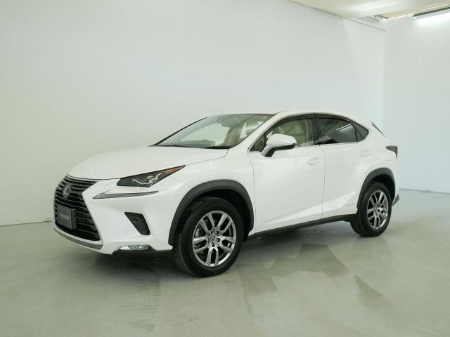 NX300h バージョンL