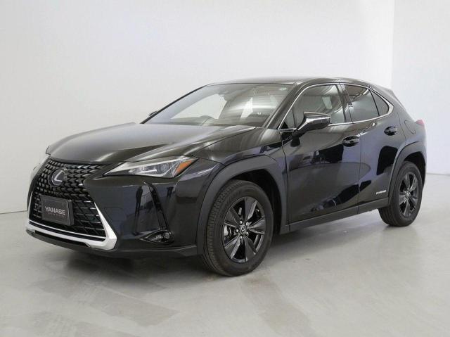 UX250h バージョンC