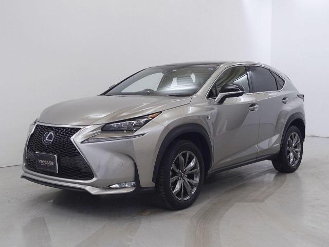 NX300h Fスポーツ