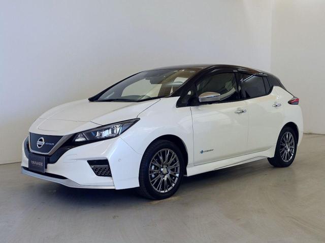 日産 リーフ e+ オーテック 20モデル