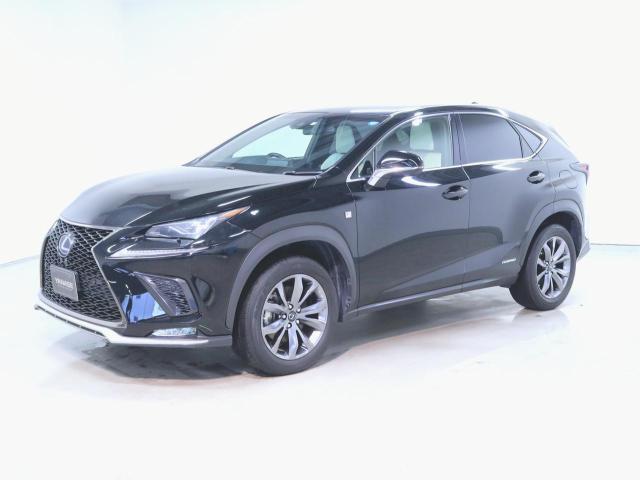 NX300h Fスポーツ