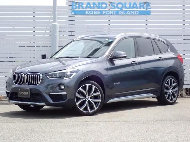 X1 xDrive18d xライン