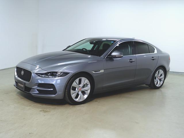 XE S P250