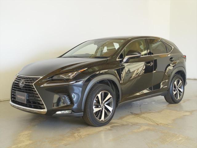 NX300h バージョンL