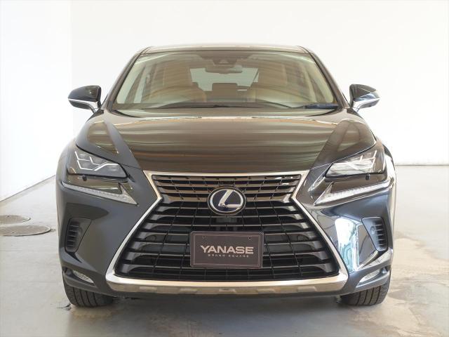 NX300h バージョンL