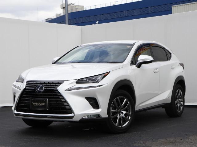 NX300h バージョンL