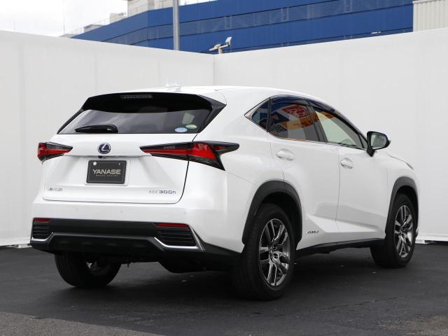 NX300h バージョンL