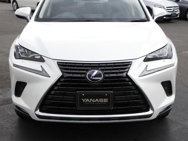 NX300h バージョンL