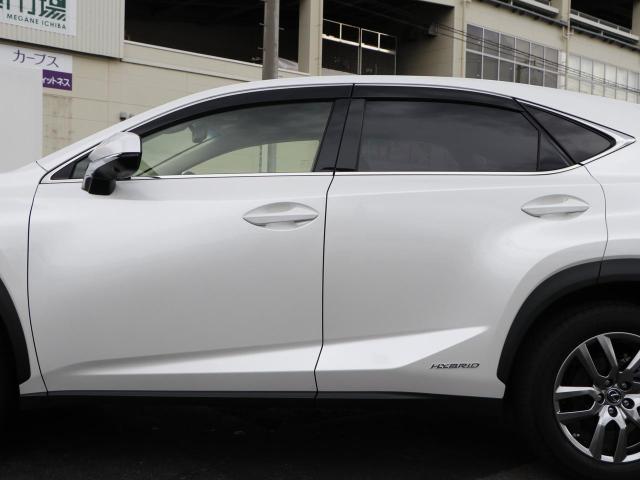 NX300h バージョンL