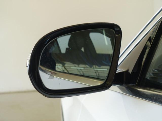 E250 アバンギャルド スポーツ レザーパッケージ