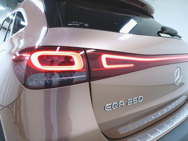 EQA250 AMGラインパッケージ