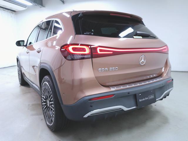 EQA250 AMGラインパッケージ