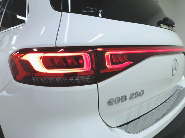 EQB250 AMGラインパッケージ AMGレザーエクスクルーシブパッケージ