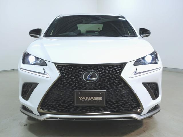 NX300 Fスポーツ