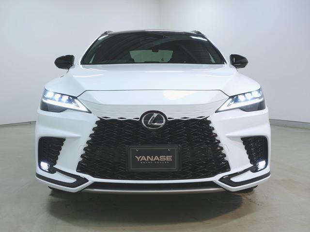 RX500h Fスポーツパフォーマンス