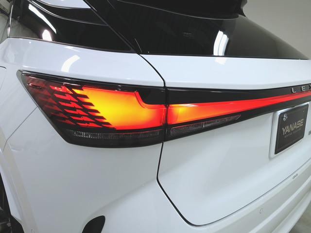 RX500h Fスポーツパフォーマンス