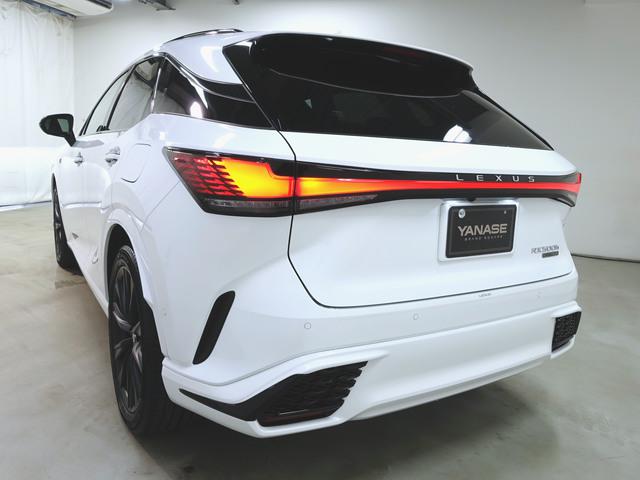 RX500h Fスポーツパフォーマンス