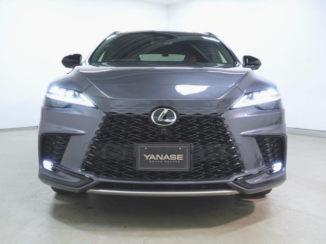 RX500h Fスポーツパフォーマンス