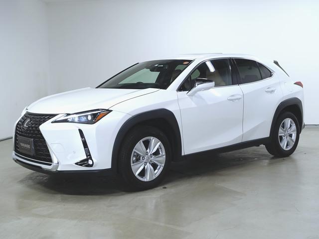 UX250h バージョンC