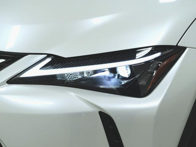 UX250h バージョンC