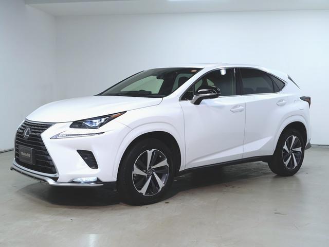 NX300 スパイス&amp;シック