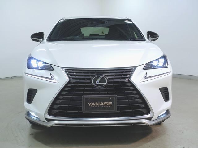 NX300 スパイス&amp;シック