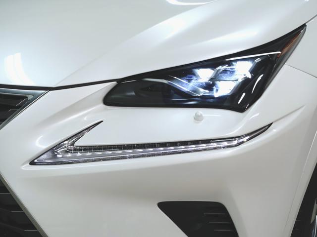 NX300 スパイス&amp;シック